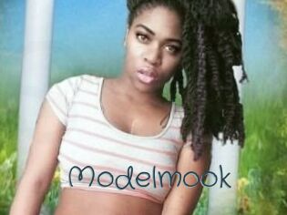 Modelmook