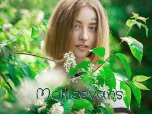 mollieevans Sexcam Livesex