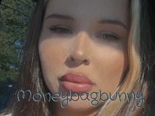 Moneybagbunny