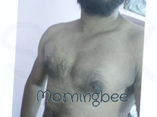 Morningbee