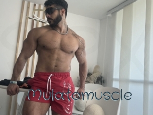 Mulatomuscle