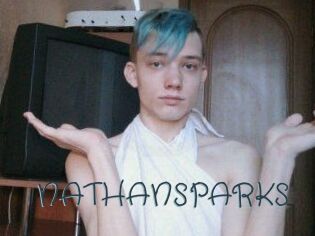 NATHAN_SPARKS