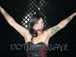 NOTLIMITSLAVE