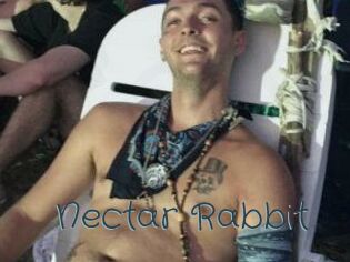 Nectar_Rabbit