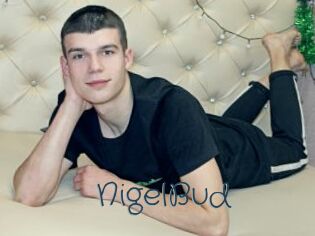 NigelBud