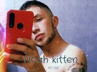 Noah_kitten
