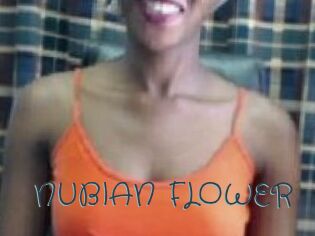 _NUBIAN_FLOWER_