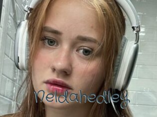 Neldahedley