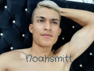 Noahsmitt