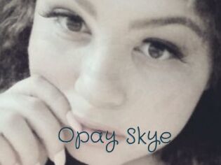 Opay_Skye