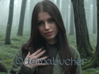 Odelinabucher