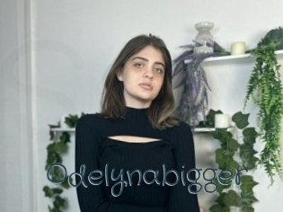 Odelynabigger