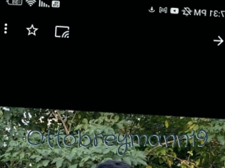 ottobreymann19 Sexcam Livesex