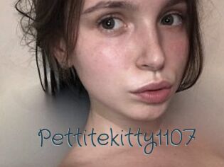 Pettitekitty1107