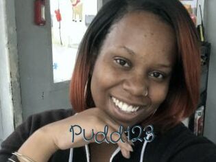 Pudd123