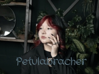 Petulabracher