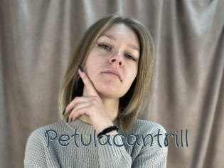 petulacantrill Sexcam Livesex