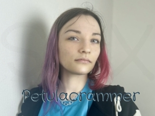 petulacrammer Sexcam Livesex