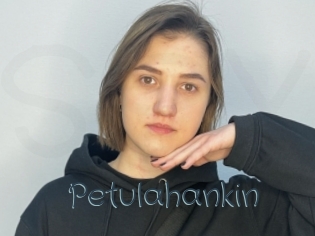 Petulahankin