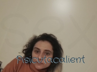Pisicutacalient