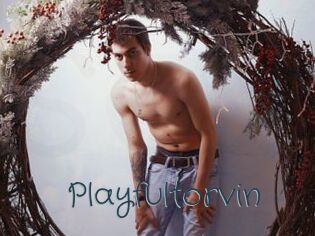 Playfultorvin
