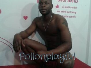 Pollonplayful