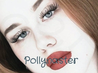 Pollynaster