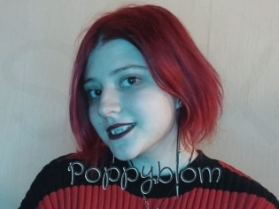 Poppyblom