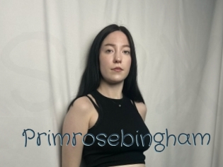 primrosebingham Sexcam Livesex