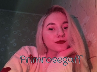 primrosegaff Sexcam Livesex