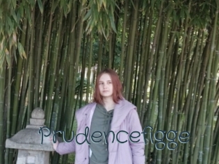 Prudencefigge