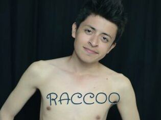 RACCOO