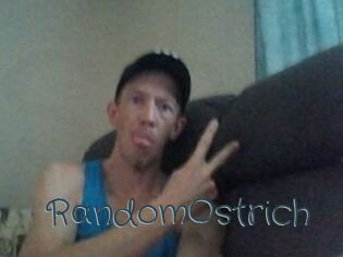 RandomOstrich Sexcam Livesex