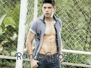 RandyGybson