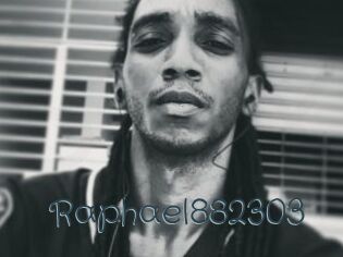 Raphael882303