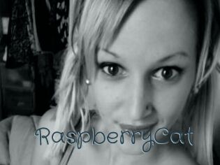 RaspberryCat