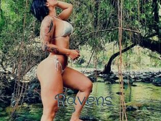Ravens