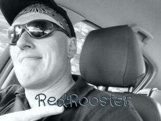 RedRooster