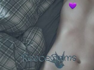 ReeceCams
