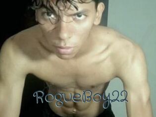 RogueBoy22