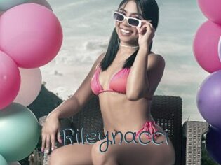 Rileynacci