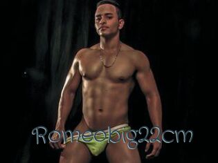 Romeobig22cm