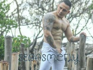 SEBASMCFLY