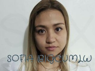 SOFIA_BIGCUMLW