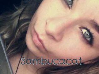 Sambucacat