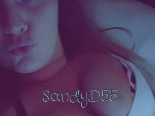 SandyD55
