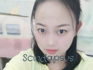 Scindapsus