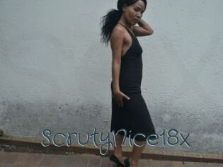 ScrutyNice18x