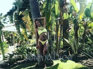 SelenaDice