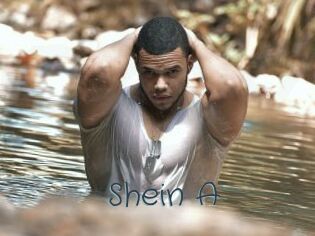 Shein_A